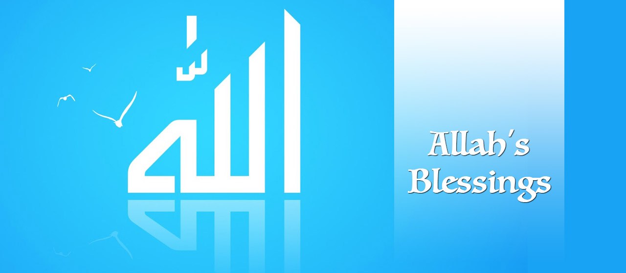 Allah's Blessings | Are you grateful to Allah's Blessings | Jannat Al Quran