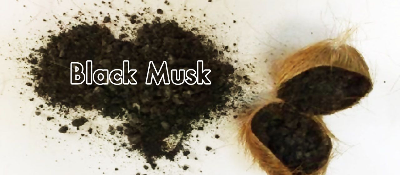 Black Musk | High-quality fragrance | Prophetic Medicine | Jannat Al Quran