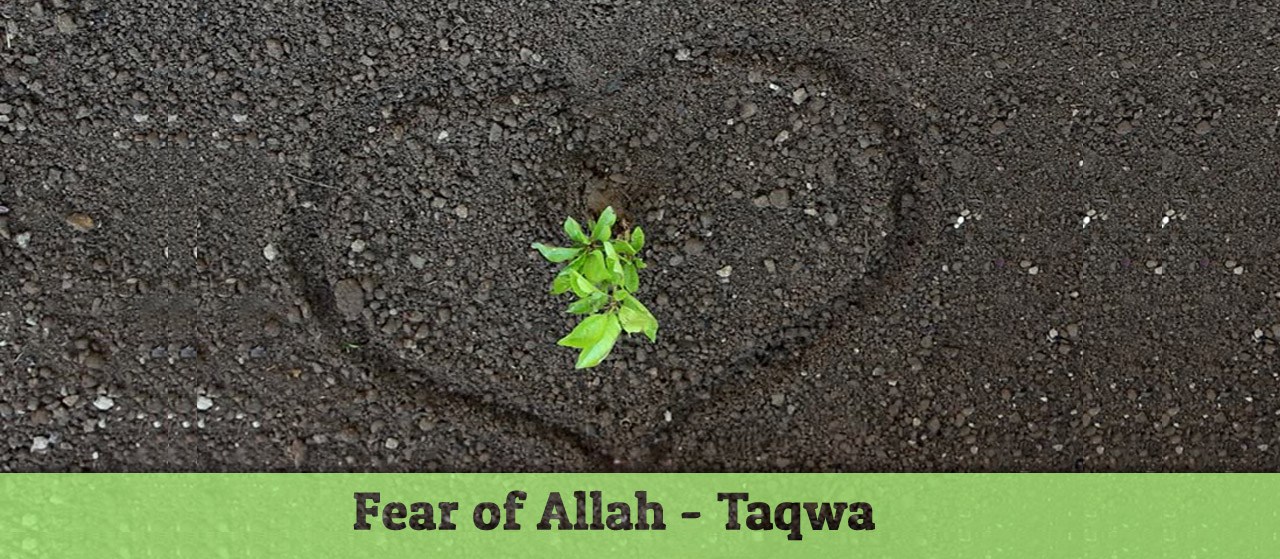 Fear of Allah - Taqwa | Conscious of Allah | Jannat Al Quran