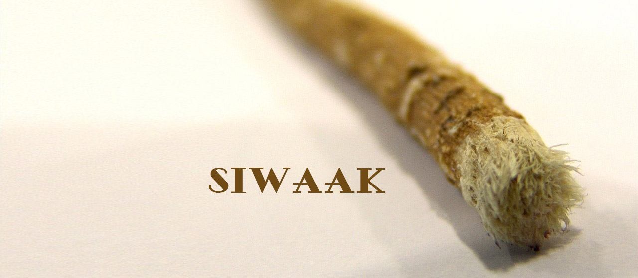 Prophetic Medicine - Siwaak | Benefits of Siwaak | Jannat Al Quran