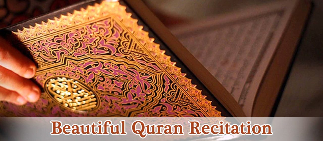 Beautiful voice in reciting Quran|Beautiful Quran Recitation|Jannat AlQuran