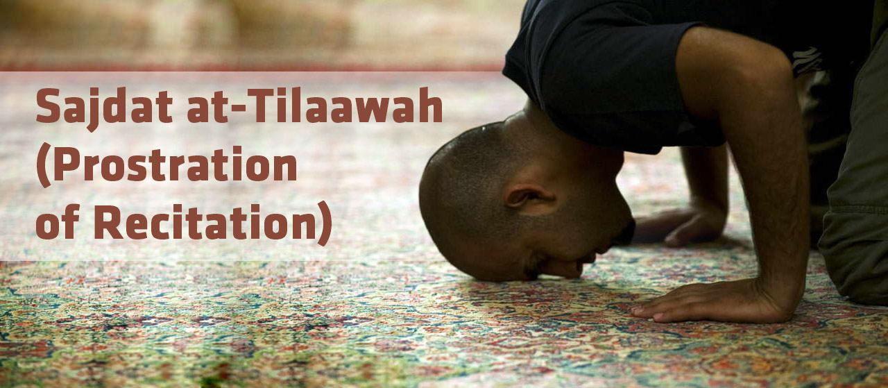  Sajdat at-Tilaawah (prostration of recitation) | Jannat Al Quran