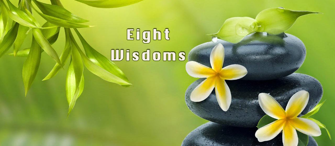 Eight Wisdoms by a student of knowledge | Jannat Al Quran